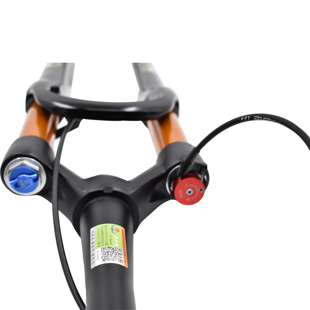 DFS CIVET-RLC-TP-RCE-32-15×110 Mountain Bike Suspension Fork (3)gx6